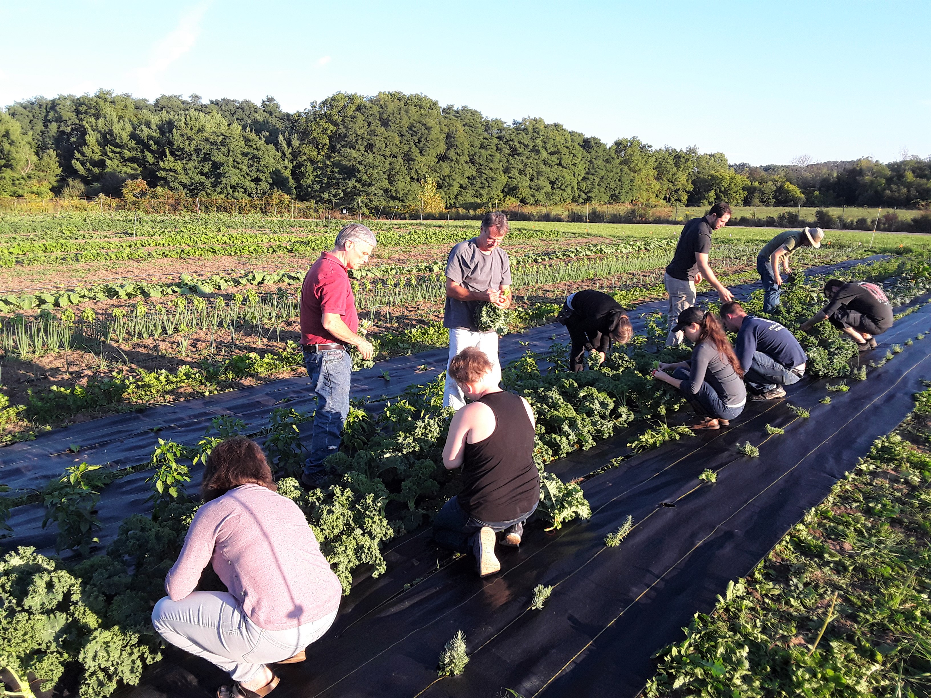 CCE of Niagara County Offers Beginning Farmer Training Program